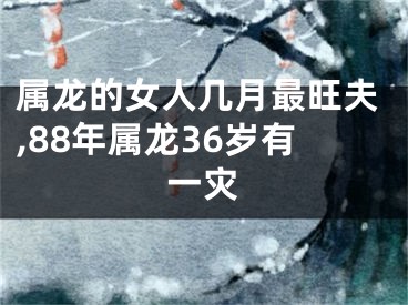 属龙的女人几月最旺夫,88年属龙36岁有一灾
