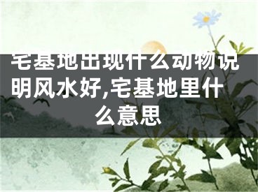 宅基地出现什么动物说明风水好,宅基地里什么意思