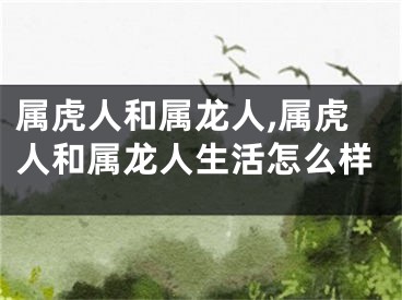 属虎人和属龙人,属虎人和属龙人生活怎么样