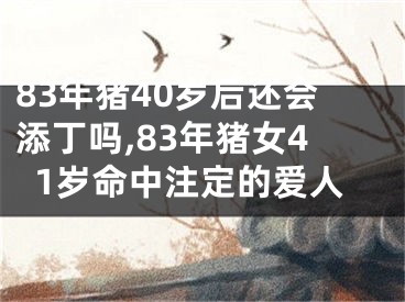 83年猪40岁后还会添丁吗,83年猪女41岁命中注定的爱人