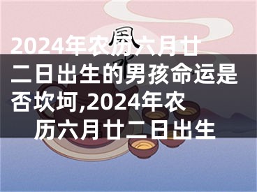 2024年农历六月廿二日出生的男孩命运是否坎坷,2024年农历六月廿二日出生