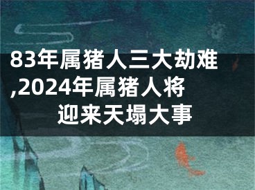 83年属猪人三大劫难,2024年属猪人将迎来天塌大事