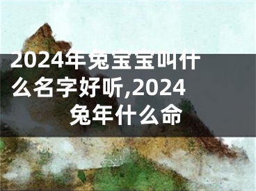 2024年兔宝宝叫什么名字好听,2024兔年什么命