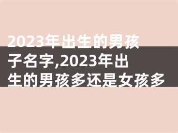 2023年出生的男孩子名字,2023年出生的男孩多还是女孩多