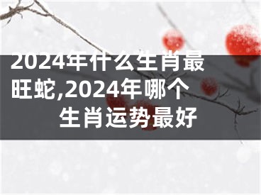 2024年什么生肖最旺蛇,2024年哪个生肖运势最好
