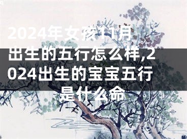 2024年女孩11月出生的五行怎么样,2024出生的宝宝五行是什么命
