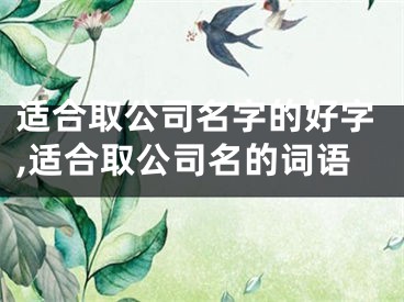 适合取公司名字的好字,适合取公司名的词语