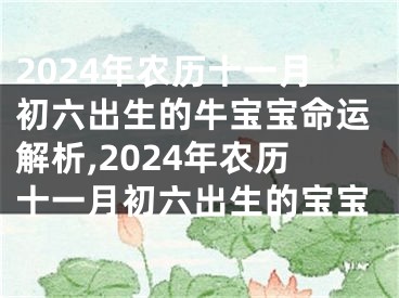 2024年农历十一月初六出生的牛宝宝命运解析,2024年农历十一月初六出生的宝宝
