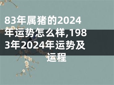 83年属猪的2024年运势怎么样,1983年2024年运势及运程