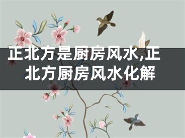 正北方是厨房风水,正北方厨房风水化解