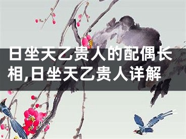 日坐天乙贵人的配偶长相,日坐天乙贵人详解