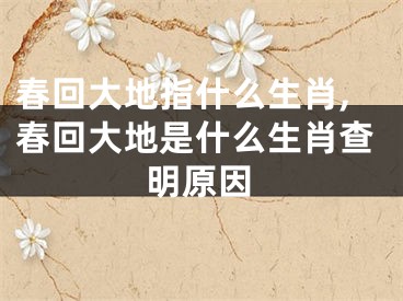 春回大地指什么生肖,春回大地是什么生肖查明原因