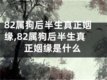 82属狗后半生真正姻缘,82属狗后半生真正姻缘是什么