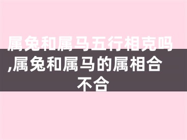 属兔和属马五行相克吗,属兔和属马的属相合不合