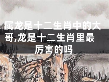 属龙是十二生肖中的大哥,龙是十二生肖里最厉害的吗