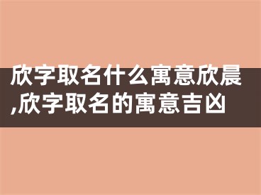 欣字取名什么寓意欣晨,欣字取名的寓意吉凶