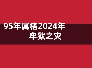 95年属猪2024年牢狱之灾