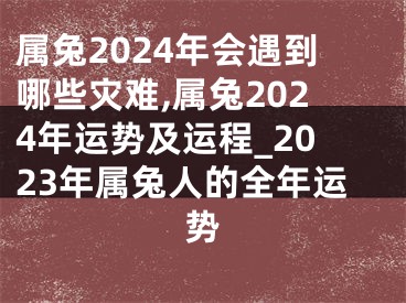 属兔2024年会遇到哪些灾难,属兔2024年运势及运程_2023年属兔人的全年运势