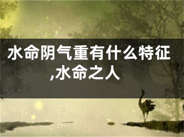 水命阴气重有什么特征,水命之人