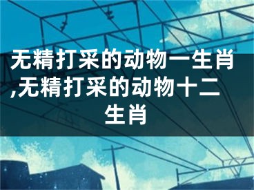 无精打采的动物一生肖,无精打采的动物十二生肖