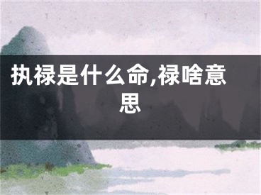 执禄是什么命,禄啥意思