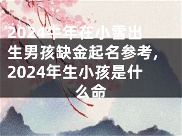 2024牛年在小雪出生男孩缺金起名参考,2024年生小孩是什么命