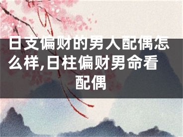 日支偏财的男人配偶怎么样,日柱偏财男命看配偶