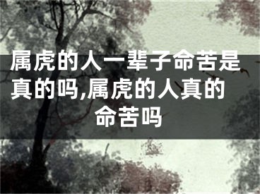 属虎的人一辈子命苦是真的吗,属虎的人真的命苦吗