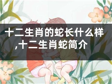 十二生肖的蛇长什么样,十二生肖蛇简介