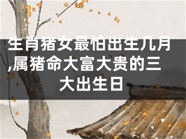 生肖猪女最怕出生几月,属猪命大富大贵的三大出生日