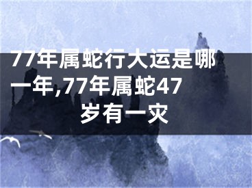 77年属蛇行大运是哪一年,77年属蛇47岁有一灾