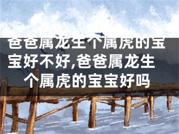 爸爸属龙生个属虎的宝宝好不好,爸爸属龙生个属虎的宝宝好吗