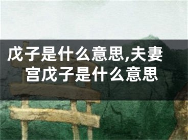 戊子是什么意思,夫妻宫戊子是什么意思