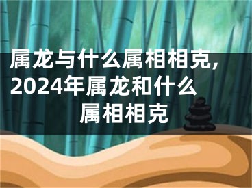 属龙与什么属相相克,2024年属龙和什么属相相克