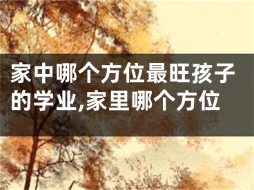 家中哪个方位最旺孩子的学业,家里哪个方位