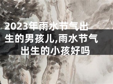 2023年雨水节气出生的男孩儿,雨水节气出生的小孩好吗