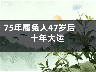75年属兔人47岁后十年大运