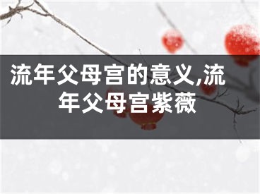 流年父母宫的意义,流年父母宫紫薇