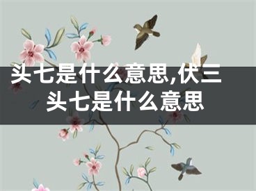 头七是什么意思,伏三头七是什么意思