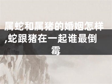 属蛇和属猪的婚姻怎样,蛇跟猪在一起谁最倒霉