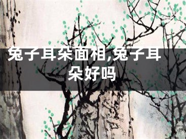 兔子耳朵面相,兔子耳朵好吗