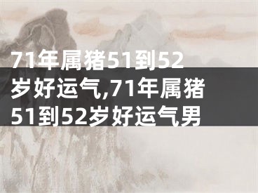 71年属猪51到52岁好运气,71年属猪51到52岁好运气男