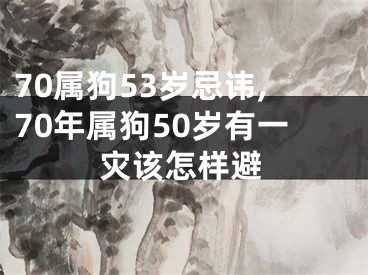 70属狗53岁忌讳,70年属狗50岁有一灾该怎样避