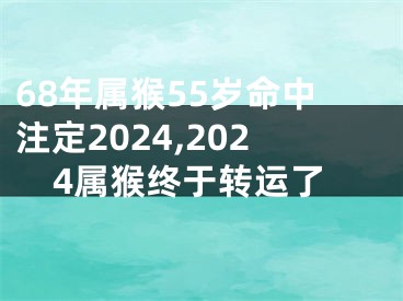 68年属猴55岁命中注定2024,2024属猴终于转运了