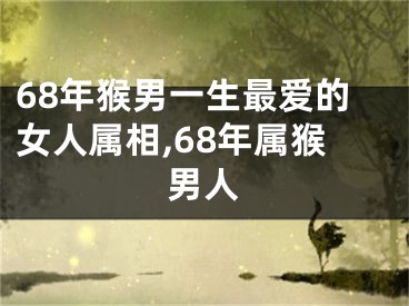 68年猴男一生最爱的女人属相,68年属猴男人