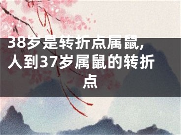 38岁是转折点属鼠,人到37岁属鼠的转折点