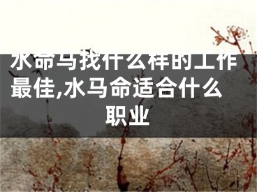 水命马找什么样的工作最佳,水马命适合什么职业