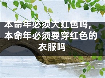 本命年必须大红色吗,本命年必须要穿红色的衣服吗