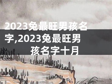 2023兔最旺男孩名字,2023兔最旺男孩名字十月