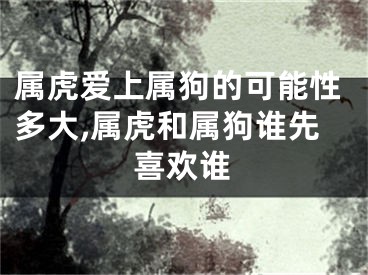 属虎爱上属狗的可能性多大,属虎和属狗谁先喜欢谁